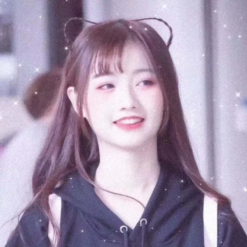 观鸟者指导大全