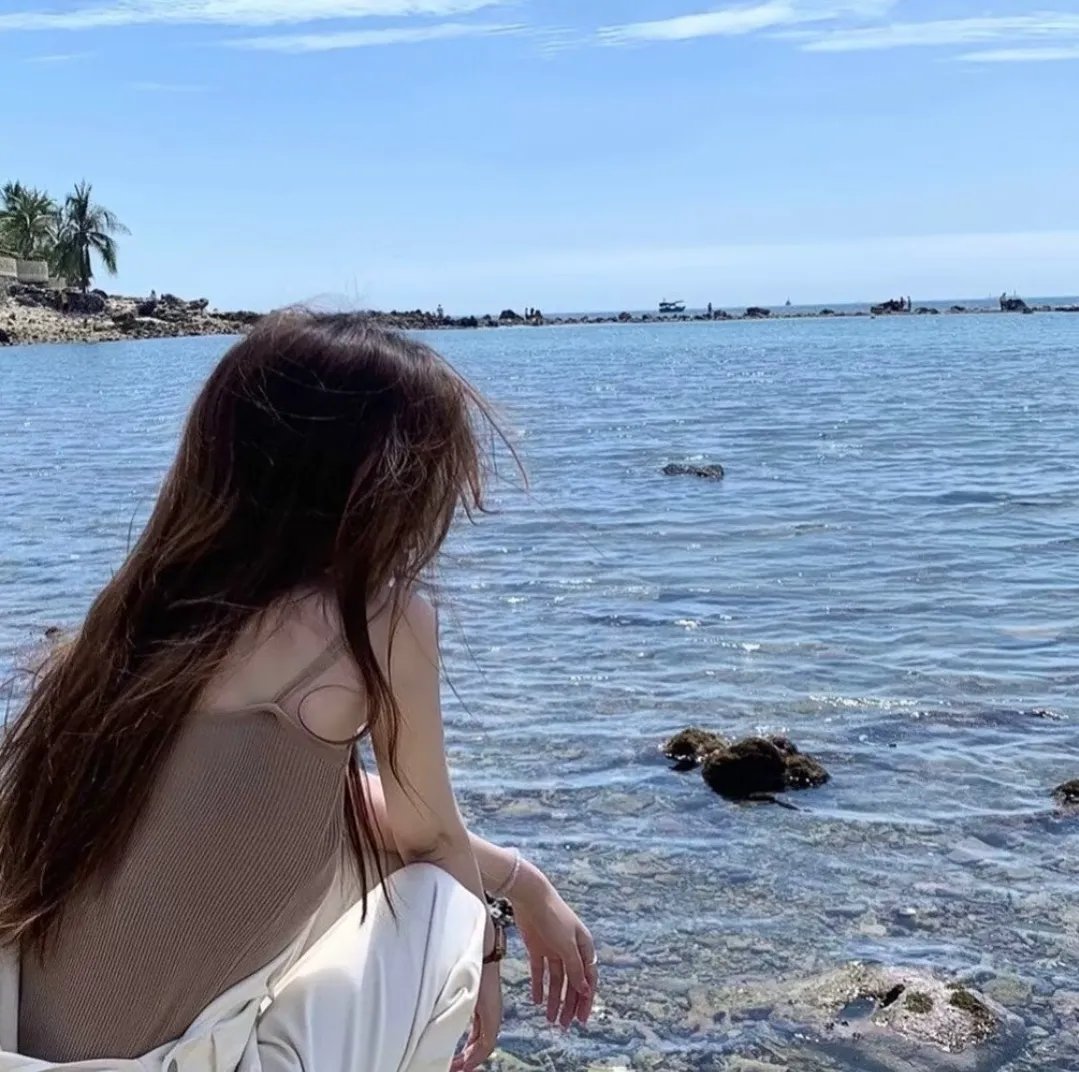 案中案